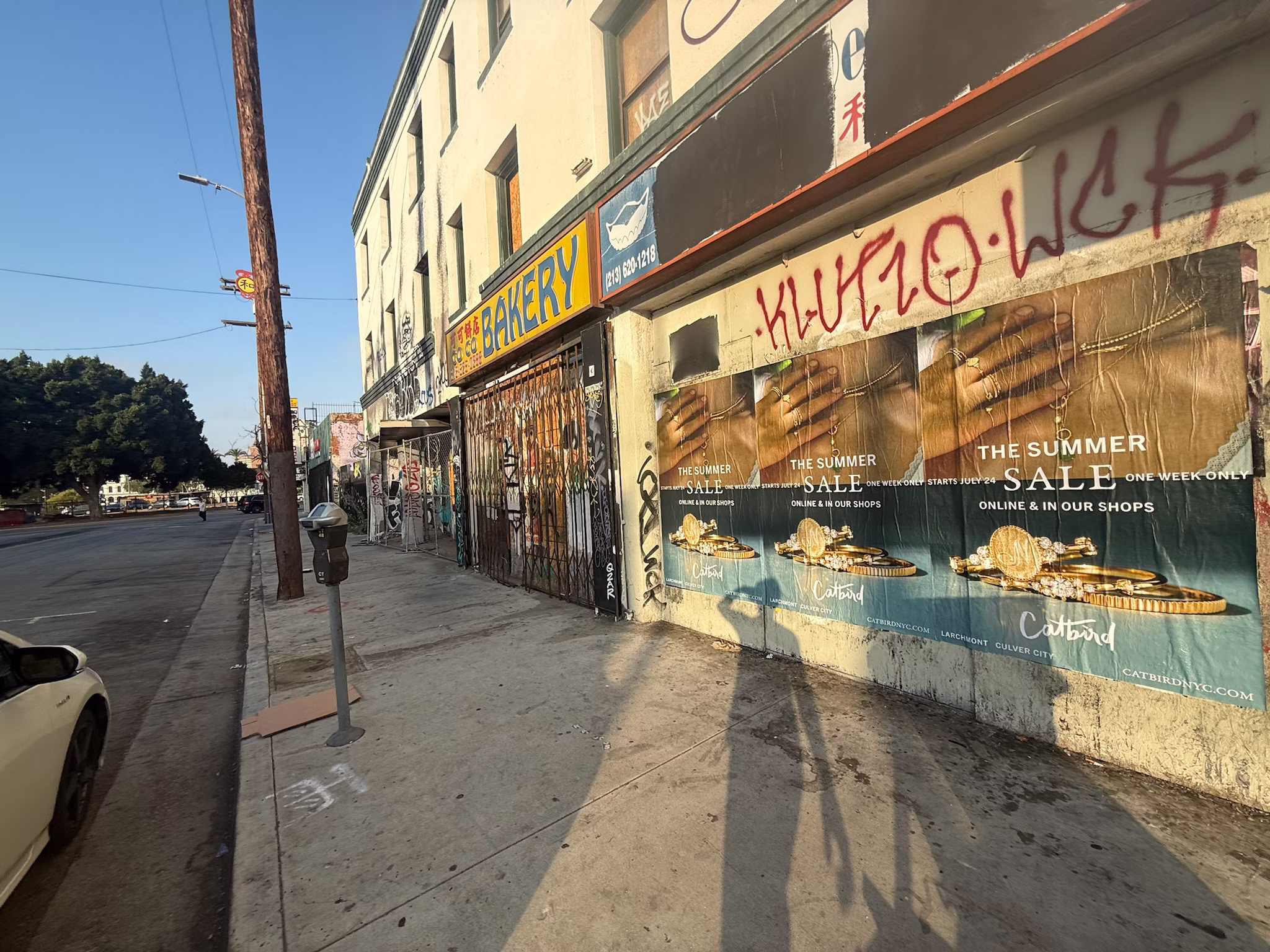 Catbird Summer Sale wild posting at 647½ N Spring St